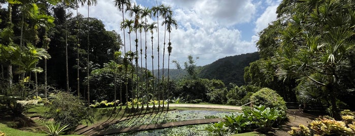 Jardin de Balata is one of Caribbean.