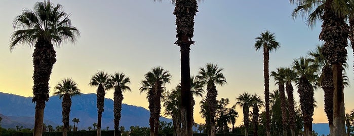 City of Palm Desert is one of Palm Springs.