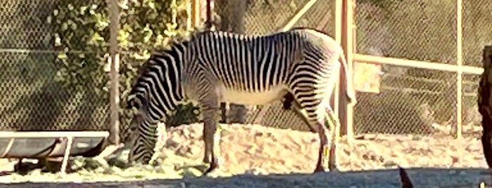 The Living Desert Zoo & Botanical Gardens is one of Tulare County, CA Restaurants & Things To Do.
