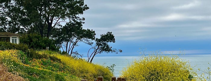 La Jolla Cove is one of SAN DIEGO.