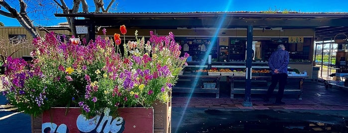 Chino's Vegetable Shop is one of Places To Check Out.