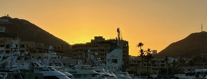 Cabo San Lucas is one of Tempat yang Disukai HECTOR.