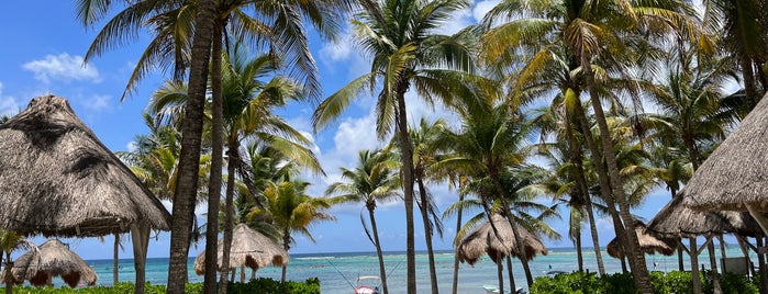 Playa Akumal is one of Tulum🌴.