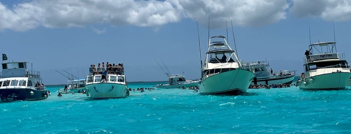 Stingray City is one of Cayman attractions.