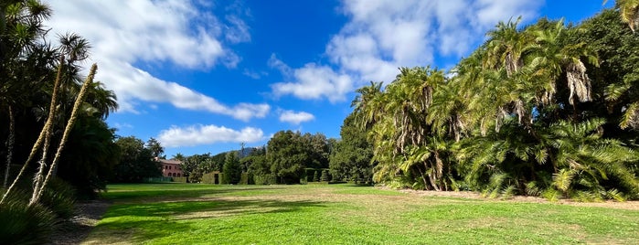 Lotus Land is one of santa barbara favs.