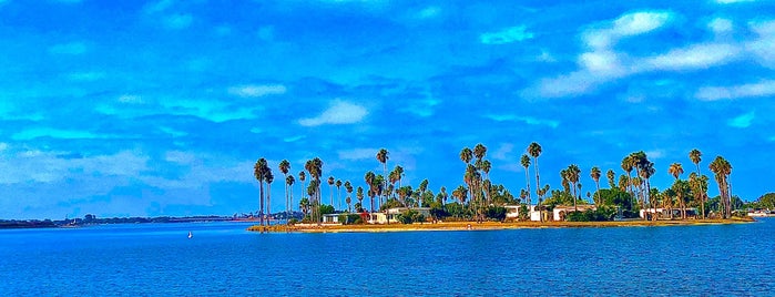 Mission Bay Park is one of Locais curtidos por Pericles.