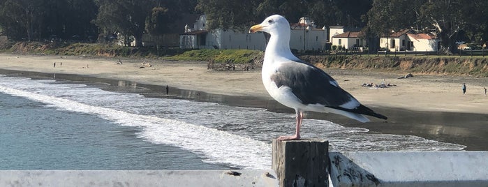 WR Hearst State Beach is one of PCH-Highway 1.