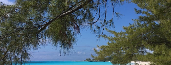 Half Moon Cay is one of Багамские острова.