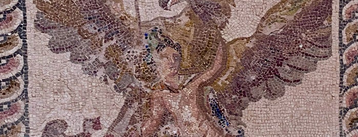 Paphos Mosaics is one of Road trip.