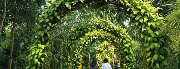 Ботанический сад Сингапура is one of Gabbie : понравившиеся места.