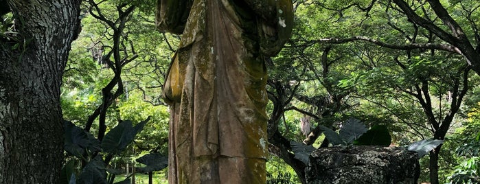 National Tropical Botanical Garden is one of Michael’s Liked Places.