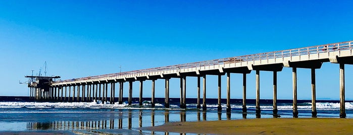 Scripps Pier is one of San Diego 👙.