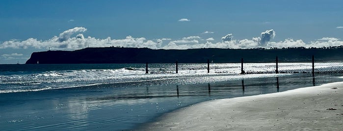 Coronado Dog Beach is one of Dog Beaches & Parks San Diego.