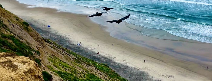 Black's Beach is one of San Diego 🇺🇸.