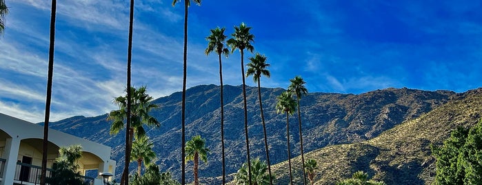 Downtown Palm Springs is one of Cities & Towns.
