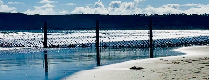 Coronado Dog Beach is one of Tempat yang Disukai seth.