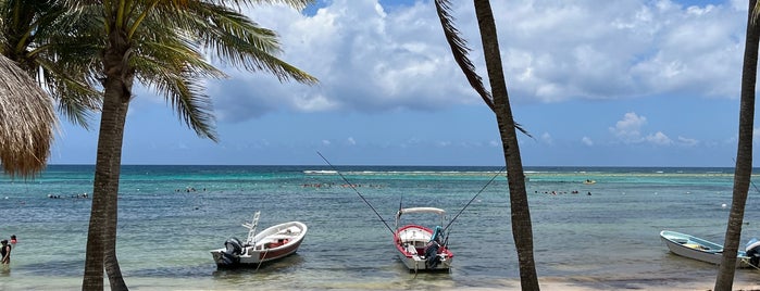 Playa Akumal is one of Tulum🌴.