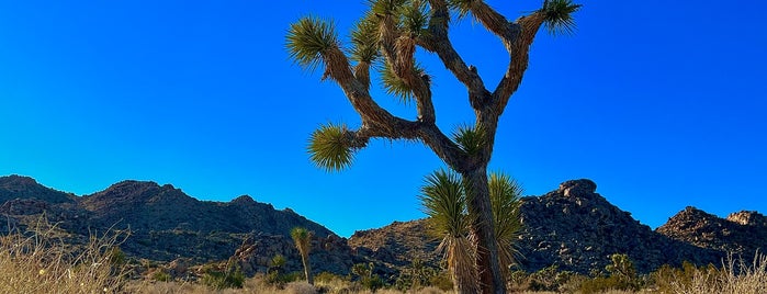 Skull Rock Trail is one of Joshua Tree and Palm Springs.