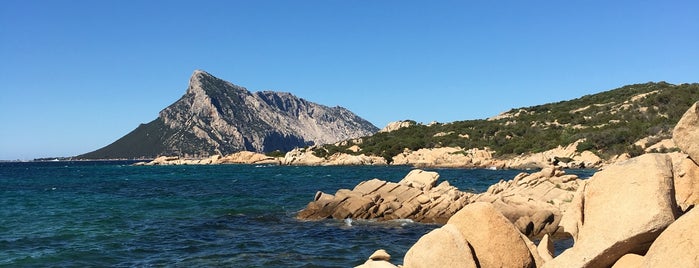 La Tartaruga is one of Nord-Sardinien / Italien.