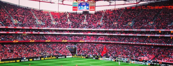 Estádio do Sport Lisboa e Benfica is one of Best sport places in Lisbon.