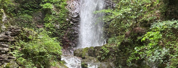 払沢の滝 is one of 高尾 八王子 奥多摩.