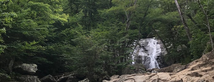 Whiteoak Canyon Falls is one of Virginia.