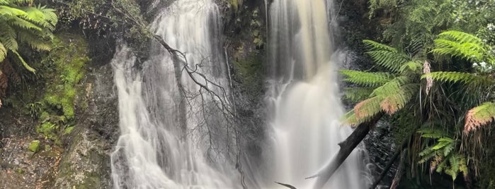 Hogarth Falls is one of Tasmania 2021.