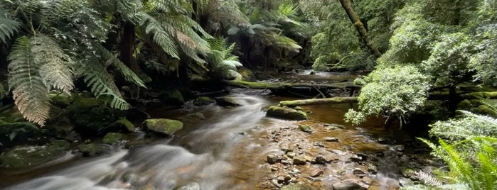 Franklin-Gordon Wild Rivers National Park is one of Tasmania.