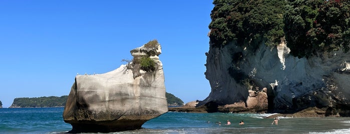 Cathedral Cove (Te Whanganui-A-Hei) is one of NZ to go.