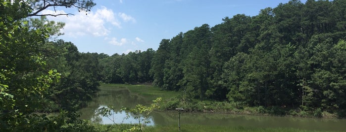 Marsh Pavillion is one of Places to Take Daya.