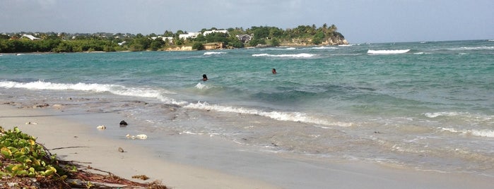 Anse du Mont is one of Guadeloupe.