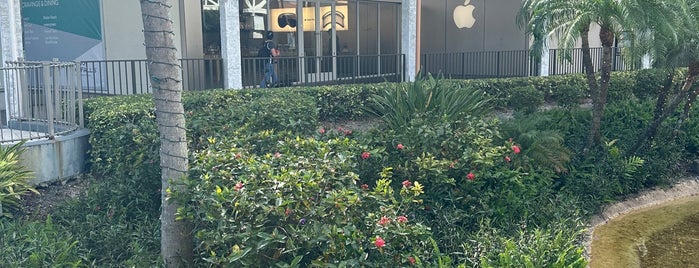Apple The Falls is one of MIAMI.
