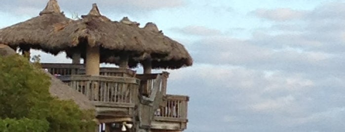 Postcard Inn Beach Resort & Marina is one of Locais curtidos por Fat Pepe.