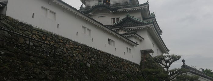 Wakayama Castle is one of 日本百名城.