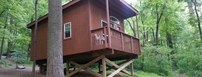 Treehouse Camp is one of Maryland - 2.