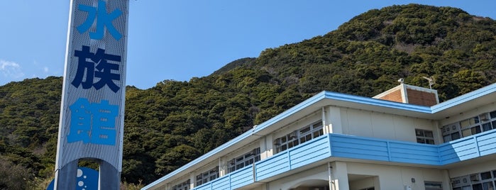 むろと廃校水族館 is one of テーマパーク&フェスティバル.