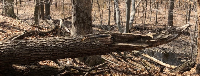 South Mountain Reservation (Glen Ave Entrance) is one of Tempat yang Disukai Ronnie.