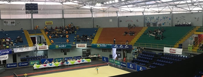 Gimnasio Nacional Eddy Cortés is one of Yo.