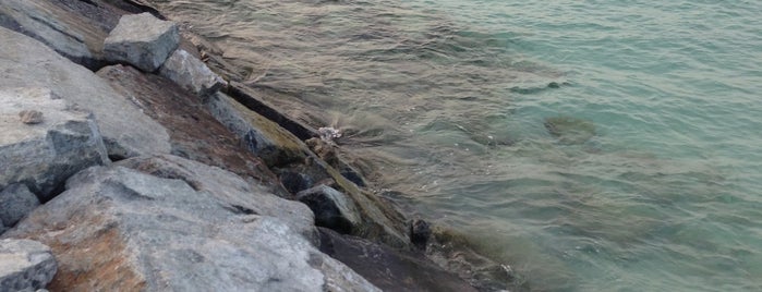 Al Sufouh Beach is one of Swim.