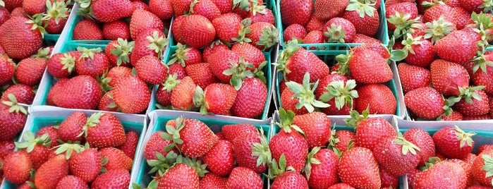 Hollywood Farmer's Market is one of The 15 Best Places for Strawberries in Los Angeles.