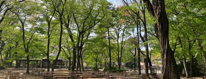 Inokashira Park Zoo is one of 美術館、博物館、科学館.