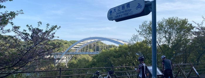 大三島橋 is one of 土木学会田中賞受賞橋.