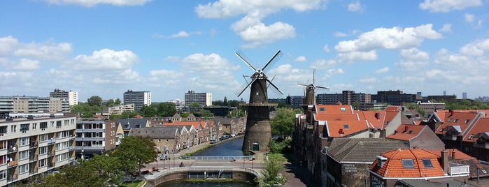 Molen De Noord is one of Schiedam 🟡⚫️.