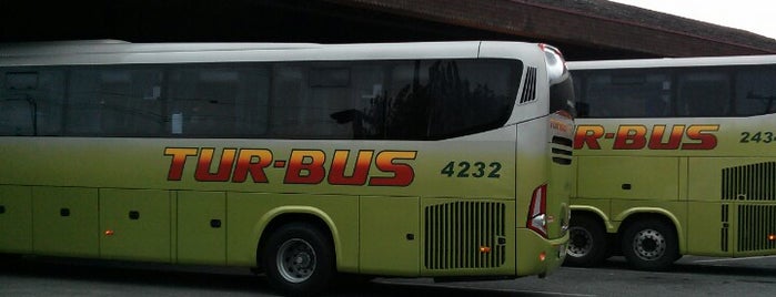 Terminais Bus Pucon