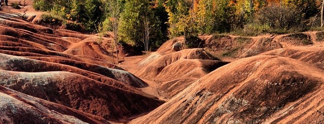 Cheltenham Badlands is one of Local excursions.