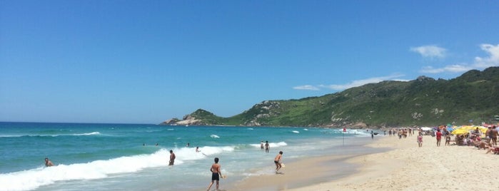 Praia Mole is one of Floripa Golden Isle.