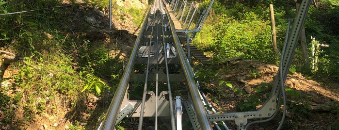 Ober Gatlinburg Ski Mountain Coaster is one of RF's Southern Comfort.