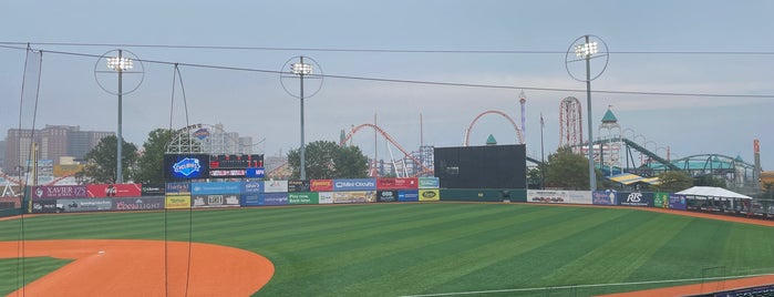 Maimonides Park is one of Minor League Ballparks.