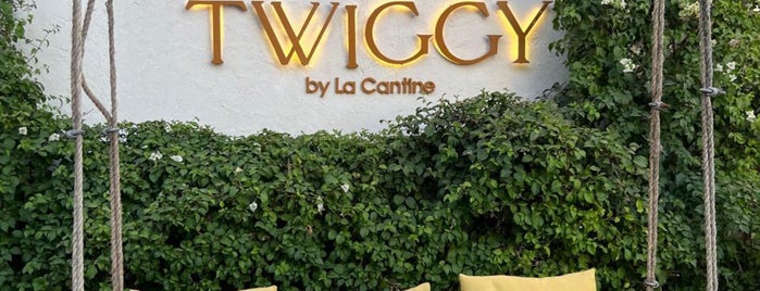 TWIGGY is one of dubai restaurants.