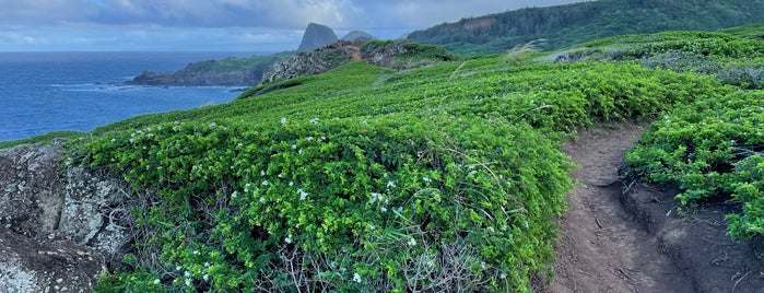 Ohai trail is one of maui trip.